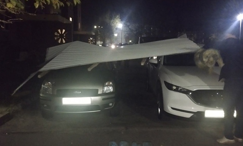 Упавшие деревья, поврежденные авто. В МЧС рассказали о последствиях сильного ветра 1-2 ноября