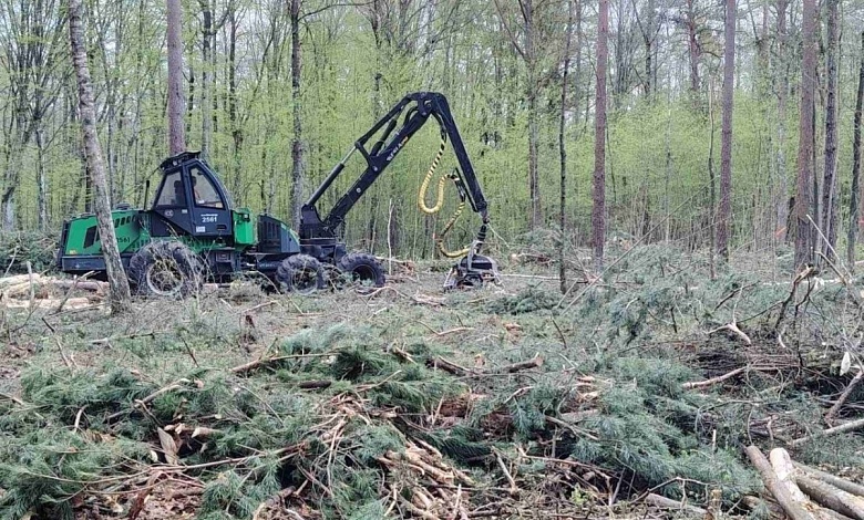 Выездные рейды по лесничествам проводятся в Лунинецком лесхозе