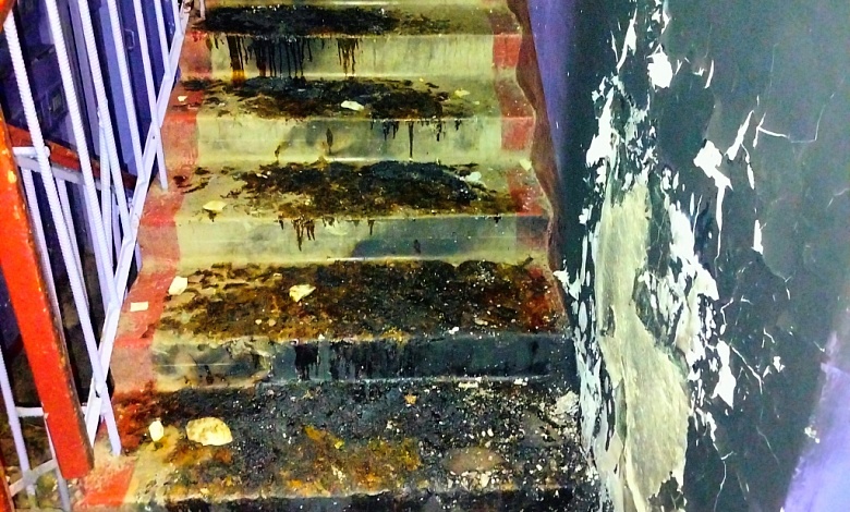 Пьяный мужчина в Барановичах поджёг медведя и выпрыгнул из окна