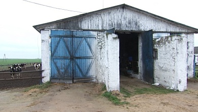 Водитель украл три тонны комбикорма. Теперь его будут судить