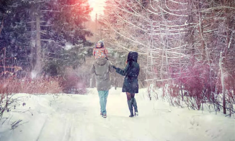 Есть порядок использования лесов для отдыха и оздоровления в Беларуси