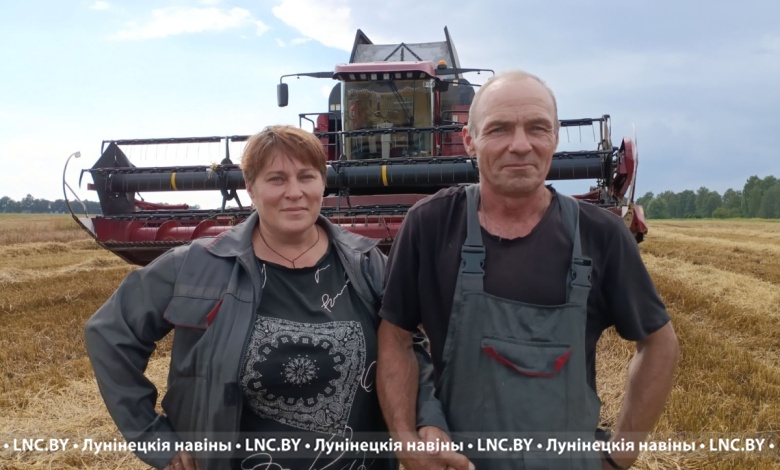 На жатве в Лунинецком районе: успехи семейных комбайнеров