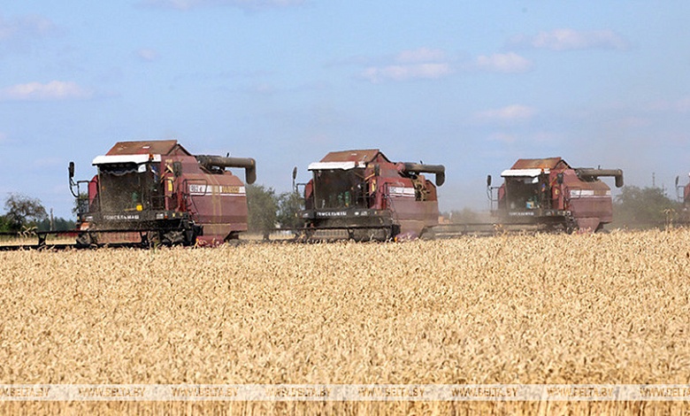 Около 1,4 тыс. комбайнов выйдут в поля Брестской области во время уборки зерновых