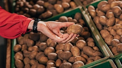 Феерия впечатлений! В магазинах проверили качество картофеля