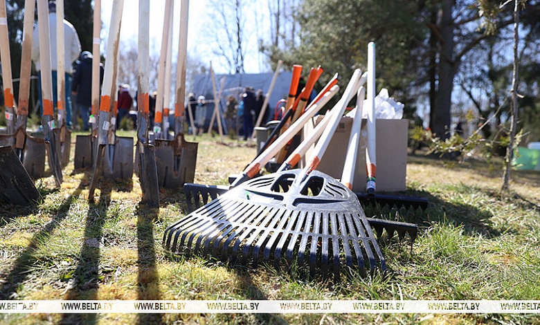 Республиканский субботник пройдет в Беларуси 25 октября