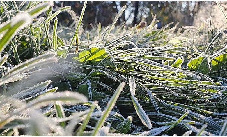 Когда это закончится! Заморозки до минус 4 градусов, предупреждают синоптики 