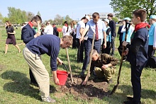 Яблоневый сад мира посадили в Лунинце
