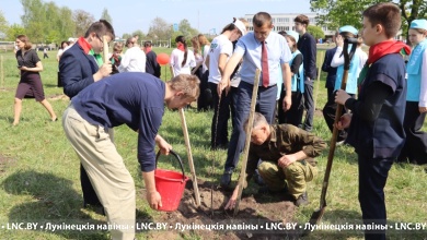 Яблоневый сад мира посадили в Лунинце