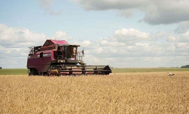 Уборка зерновых в Лунинецком районе. Кто в передовиках?