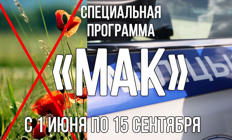 В Брестской области уничтожено 15,2 тонны мака и 7,5 тонны конопли