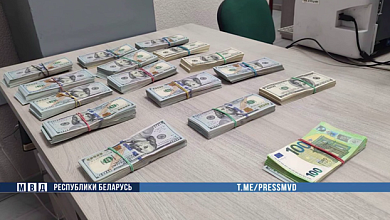 В Беларуси у пенсионера украли 180 тыс. долларов. Преступника нашли