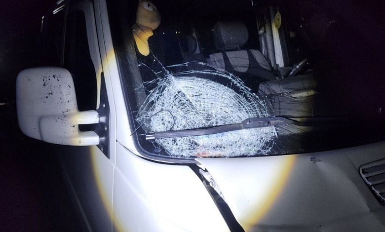 Женщину насмерть сбил автомобиль в Минской области