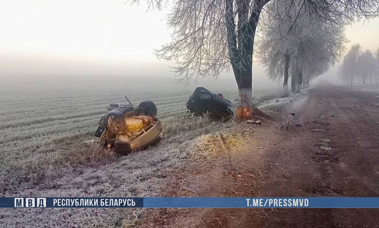 Автомобиль разорвало на части. В ДТП погибли два человека в Гомельской области