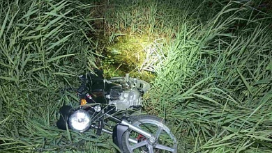 Девять ДТП произошло за минувшую неделю в Брестской области