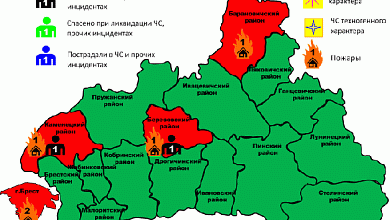 На пожарах за сутки погибло два человека в Брестской области 