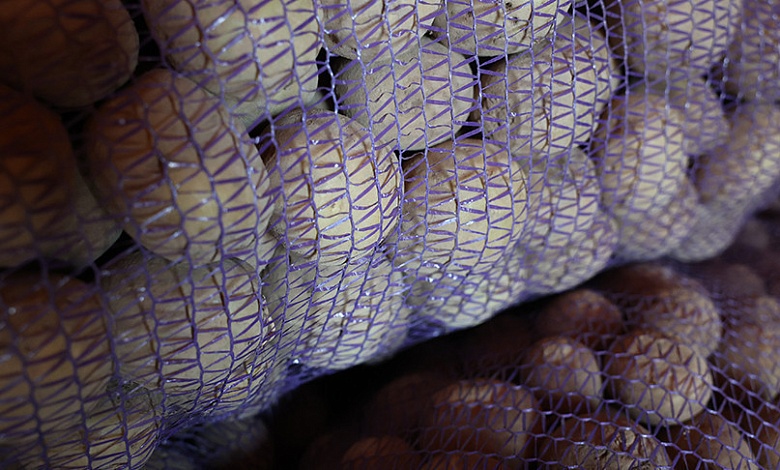 "Это по-военному надо делать". Лукашенко о закладке на хранение урожая овощей и фруктов