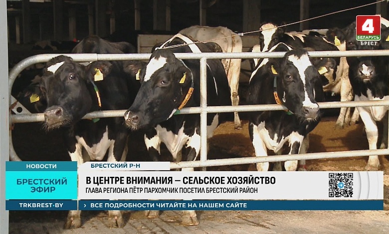 Какие задачи в сельском хозяйстве ставит руководитель Брестской области