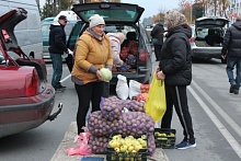 Очередная сельскохозяйственная ярмарка проходит в Микашевичах