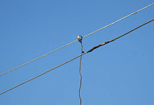 Мужчина воровал электроэнергию в Лунинецком районе