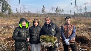 В Лунинецком районе продолжается республиканская акция «Дай лесу новае жыцце!»
