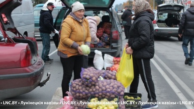 Очередная сельскохозяйственная ярмарка проходит в Микашевичах
