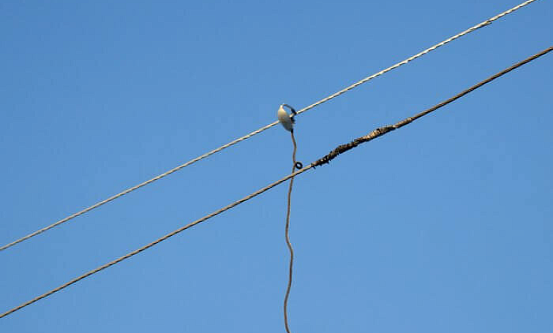 Мужчина воровал электроэнергию в Лунинецком районе