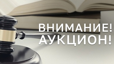 Проводится аукцион на право аренды участка под торговый объект в Лунинецком районе 