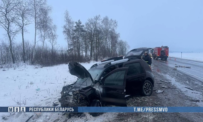 Смертельный обгон. Два человека погибли в ДТП на Брестчине 
