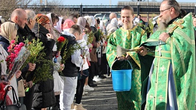 Вербное воскресенье встречают православные христиане в Микашевичах