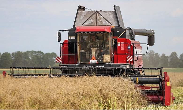 В Лунинецком районе идет уборка озимого рапса