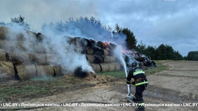 Скирда соломы горела в Лунинецком районе 