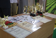 Спортивные итоги года подвели на Лунинетчине