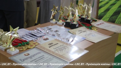 Спортивные итоги года подвели на Лунинетчине