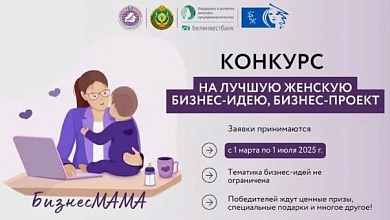 В Беларуси стартовал конкурс на лучшую бизнес-идею, бизнес-проект «БизнесМАМА»