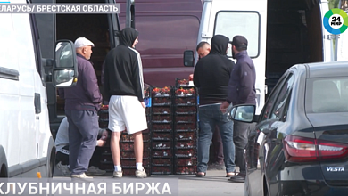 Как работает клубничная биржа в Беларуси: взгляд из заграницы  