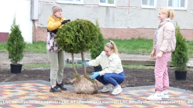 В Лунинецком районе продолжается марафон чистоты