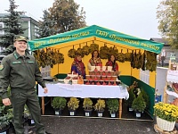 Для работников сельского хозяйства свою площадку подготовил Лунинецкий лесхоз