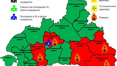 Пять пожаров зарегистрированы в Брестской области