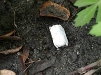 Закладчиков наркомаркета задержали с поличным в Брестской области