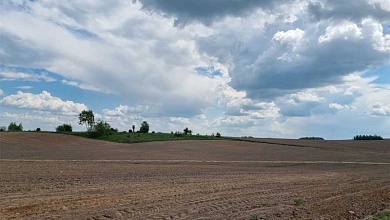 Прокуратура выявила нарушения в сфере мелиорации земель в Брестской области