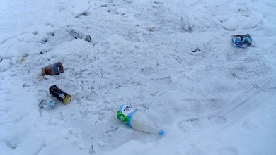Рыболовов призывают не сорить на льду
