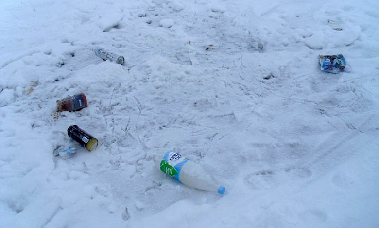 Рыболовов призывают не сорить на льду