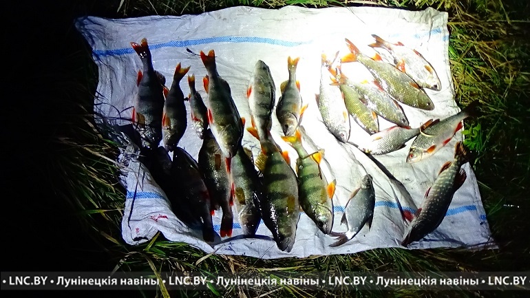 «Взяли с поличным»: браконьеров задержали в Лунинецком районе