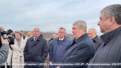 Зимовка моркови в поле | Стабфонд | Свежие овощи круглый год