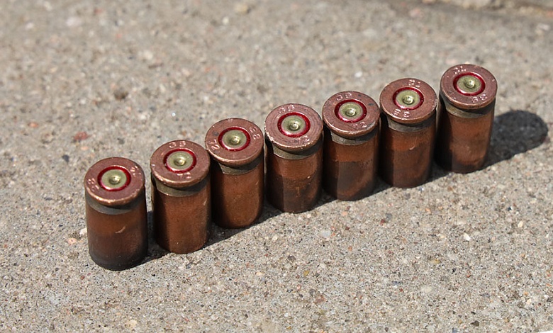 За хранение оружия и патронов судили жителя Лунинецкого района