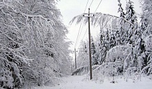 Последствия непогоды в Лунинецком районе: продолжается восстановление электроснабжения 