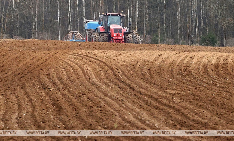 К севу гречихи, проса и сои приступили хозяйства Брестской области