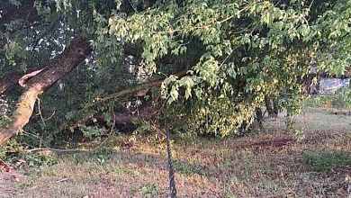 Сильный ветер и гроза: энергетики Лунинецкого района восстанавливают повреждения