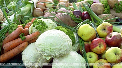 Сколько овощей заложил в стабфонды Белкоопсоюз?