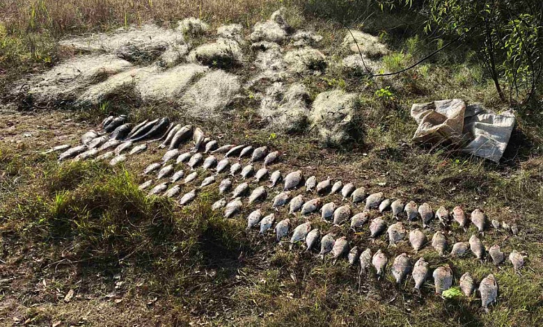 Большие штрафы "заработали" жители Пинского района за браконьерство на Припяти